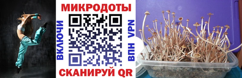 Галлюциногенные грибы ЛСД  Чекалин 